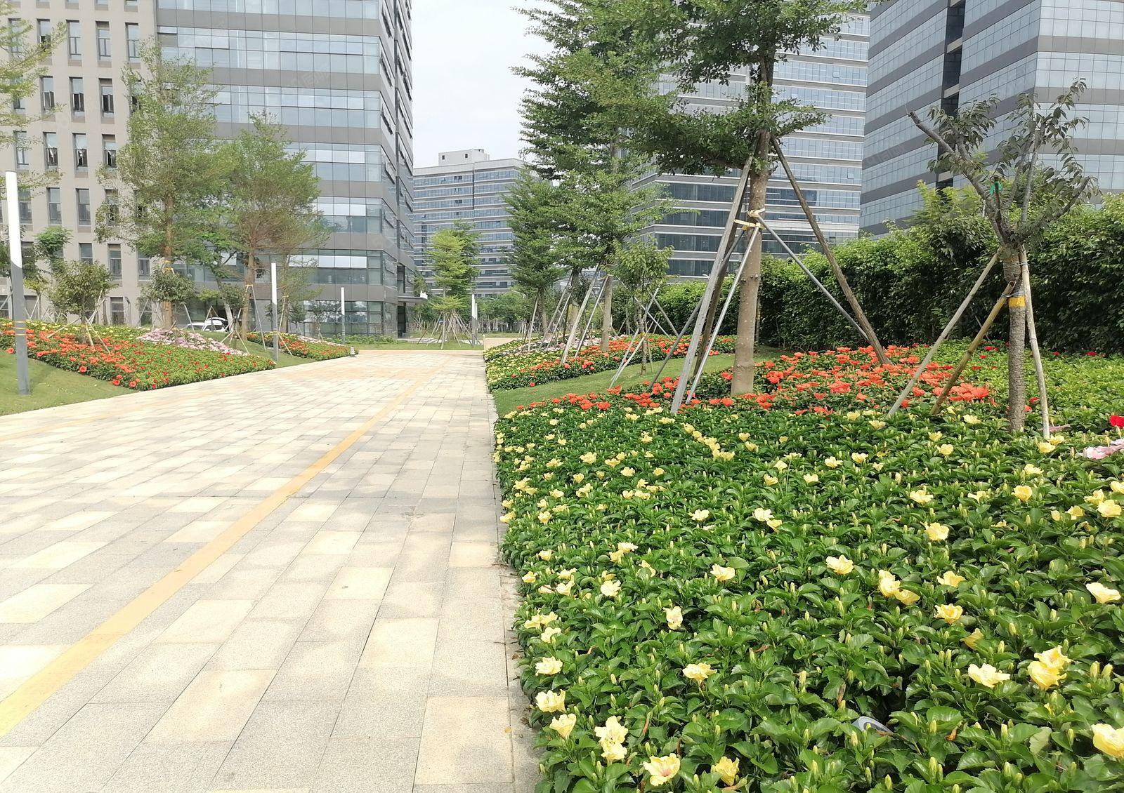 松山湖全新综合楼招商，可以申请高新补贴，靠近深圳，交通便利。