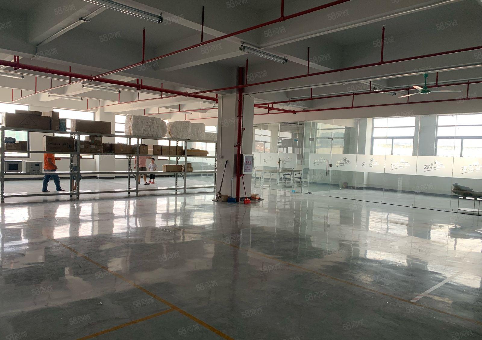 松山湖独院厂房金园科创1000平米带5吨货梯精装出租