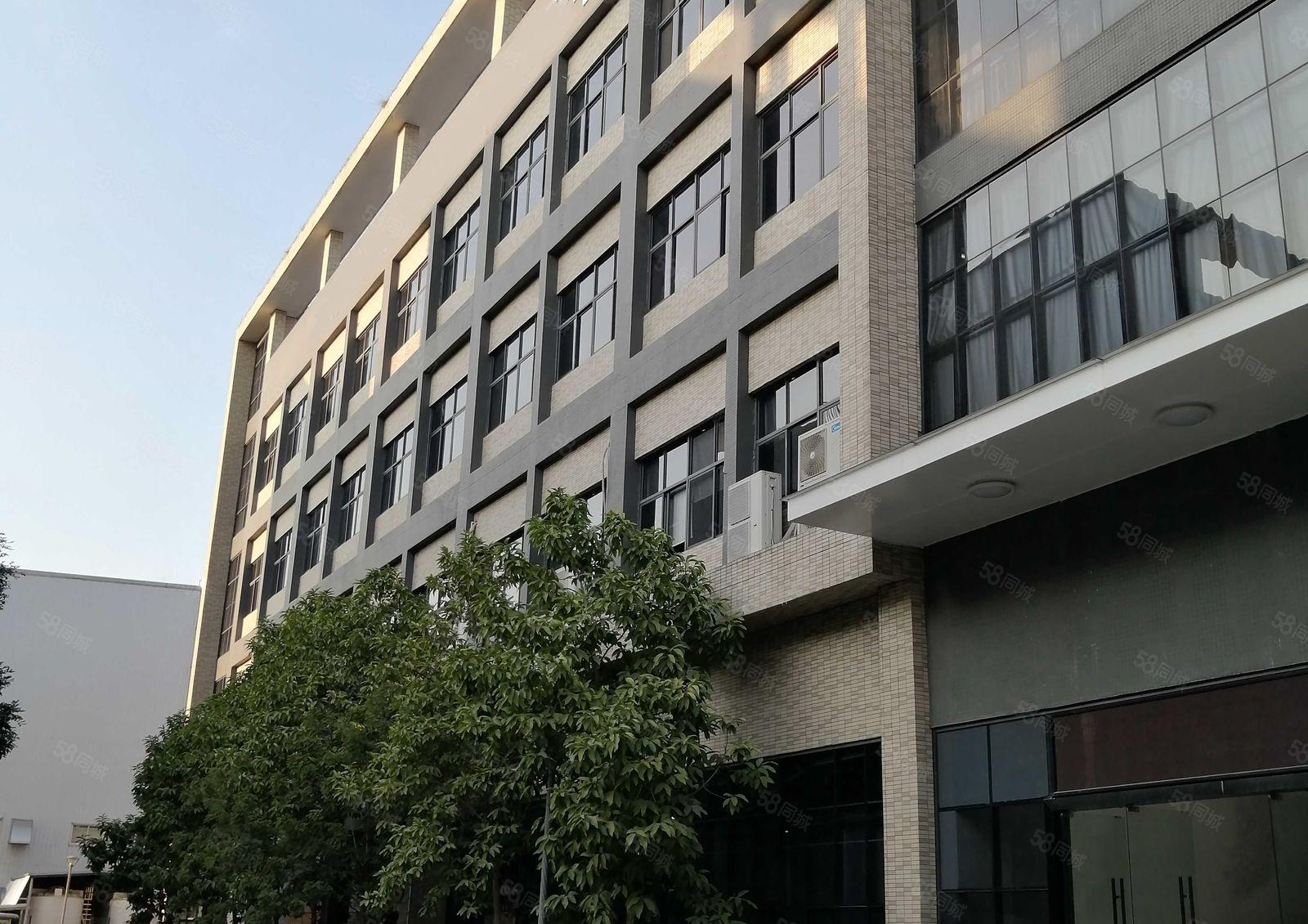 松山湖华为总部附近红本重型厂房12000方带豪华装修分租！！