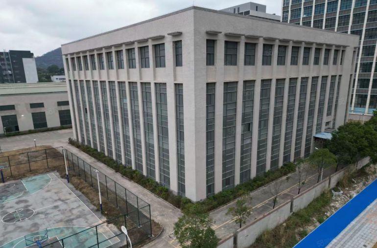 临深片区新出钢构加标准楼房独院国有双证齐全厂房出租