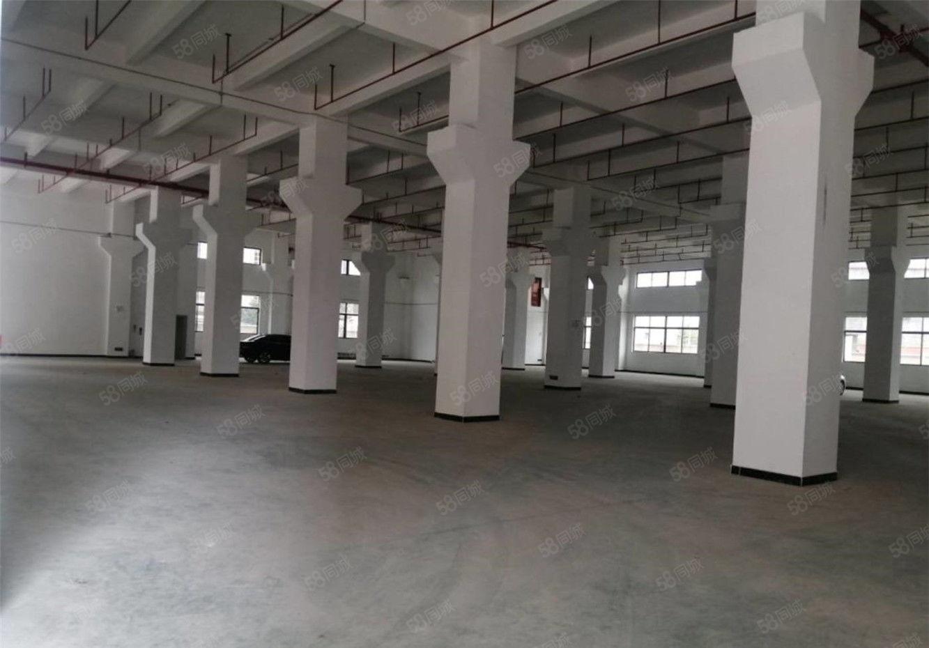 新出黄江带牛角厂房出租一楼1700平方，高7米，精装修办公室