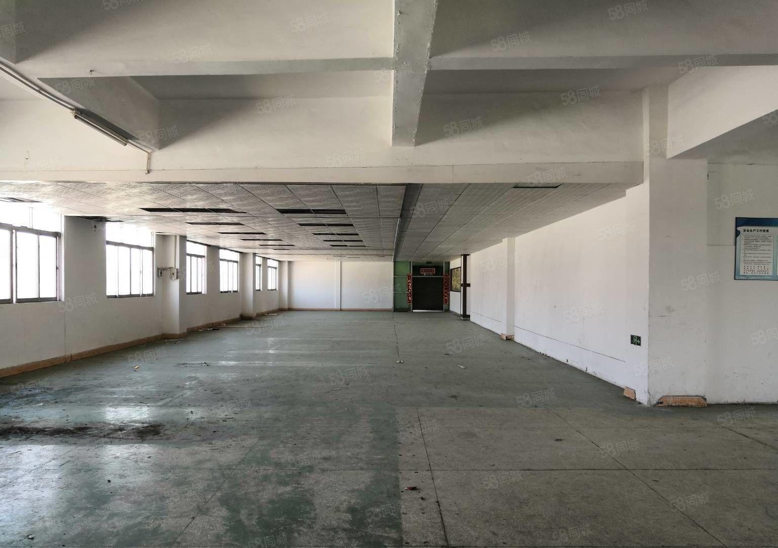 黄江镇原房东独院厂房招租三层3600平米九成新