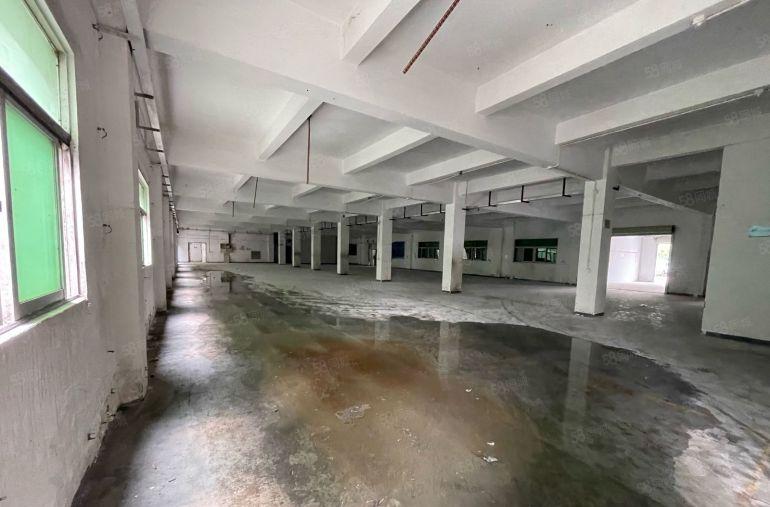 黄江镇临深厂房出租12楼3550平形象好空地大园区电大