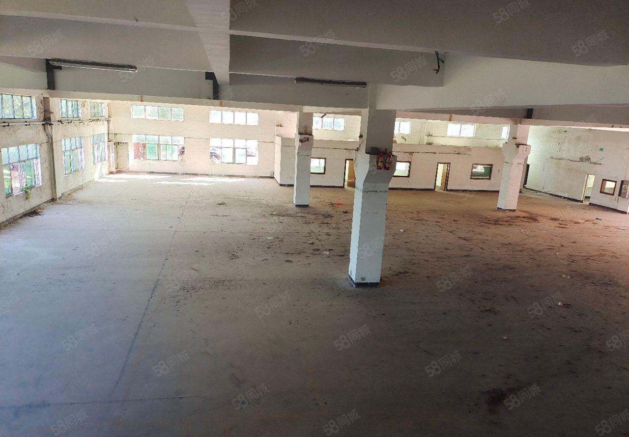 黄江镇厂房出租钢构单一层厂房8880平方空地超大可分租