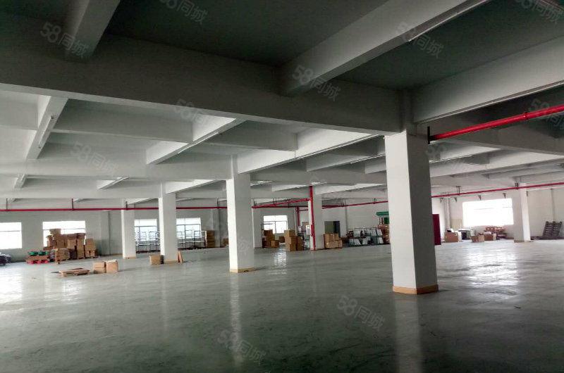 黄江新出楼上带地坪漆厂房1350平米