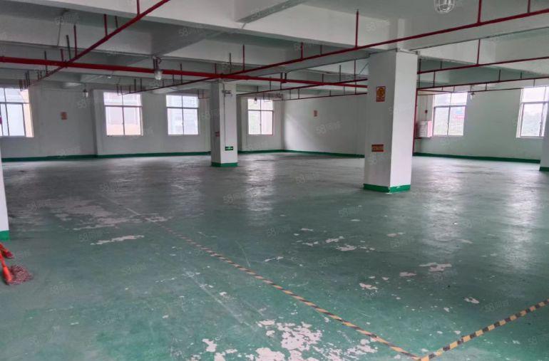 850平带办公室，带卫生间，原房东物业，大园区形象好