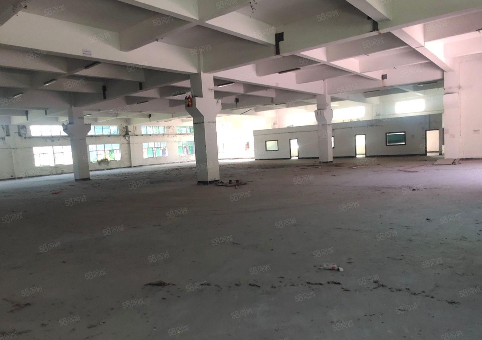 黄江新出独院厂房出租11000平米水电齐全，外观形象好空地大