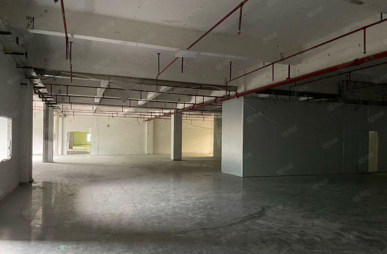 黄江镇中心新出原房东一楼2550平低价出租大小可分