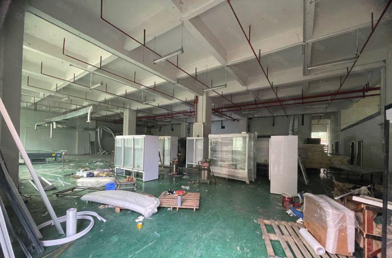 黄江镇原房东一楼1280平5.5米高低价出租23可谈