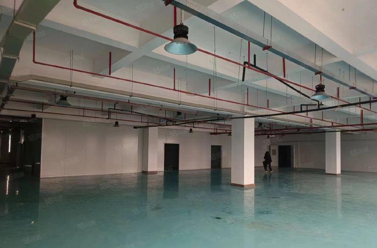 黄江新出原房东红本经典独院8000平适合塑胶模具新能源等