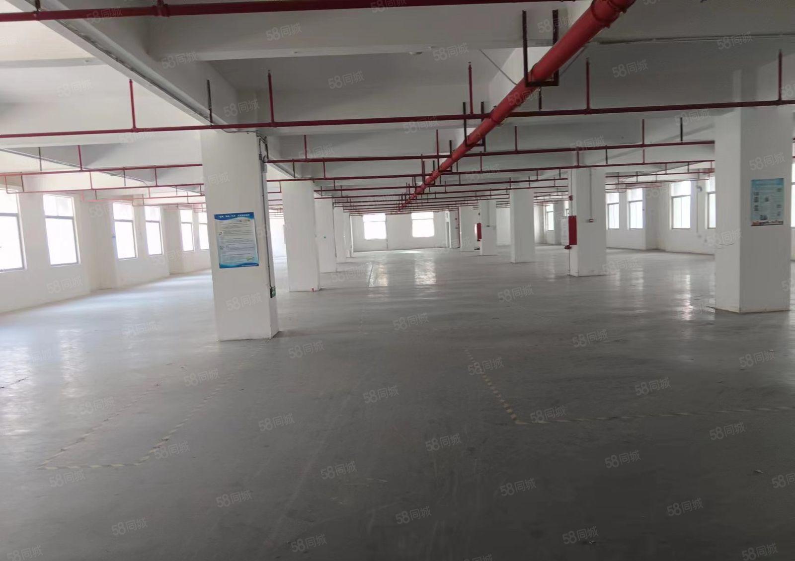 整层带装修，带办公室，原房东物业，价格低至12块一平