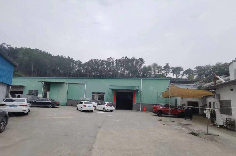 黄江太子酒店附近单一层钢构独院空地大低价厂房出租1500平方