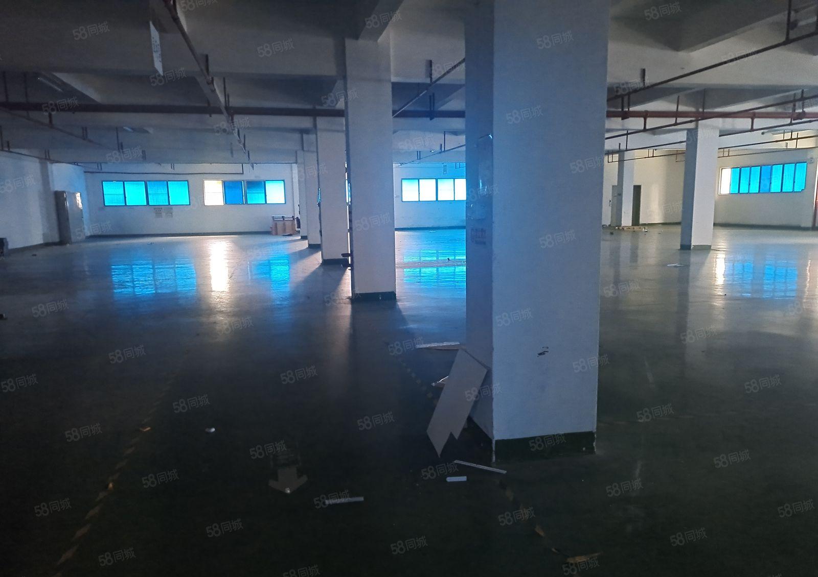 黄江镇高速附近新出花园式独院厂房29850平方