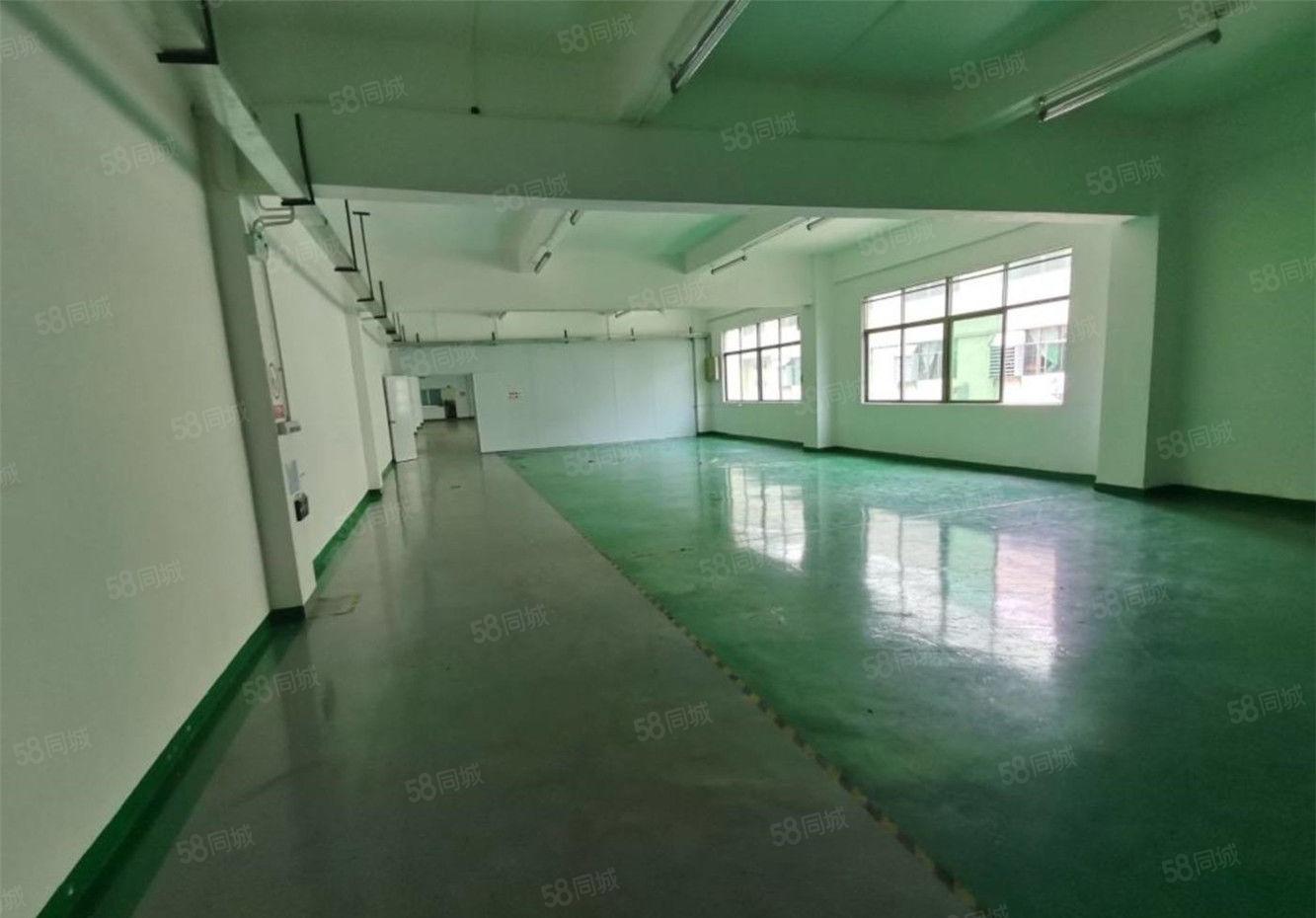 黄江标准厂房出租楼上1100平方，工业区厂房不限行业可办环评