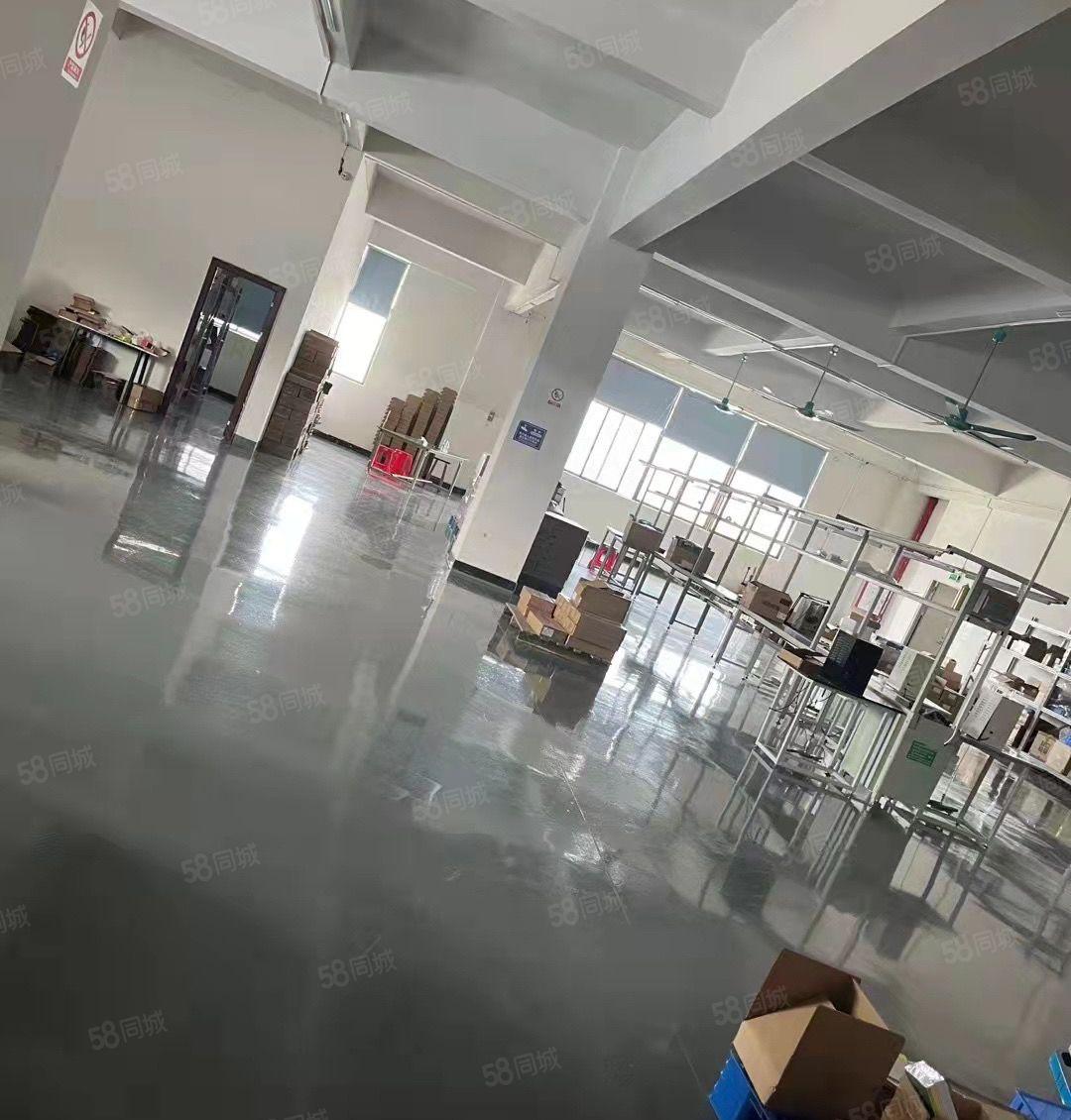 黄江镇成熟工业园区现成装修厂房1300平方米出租