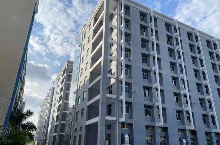 15块一楼，适合仓库，物流，全新厂房，大园区形象好