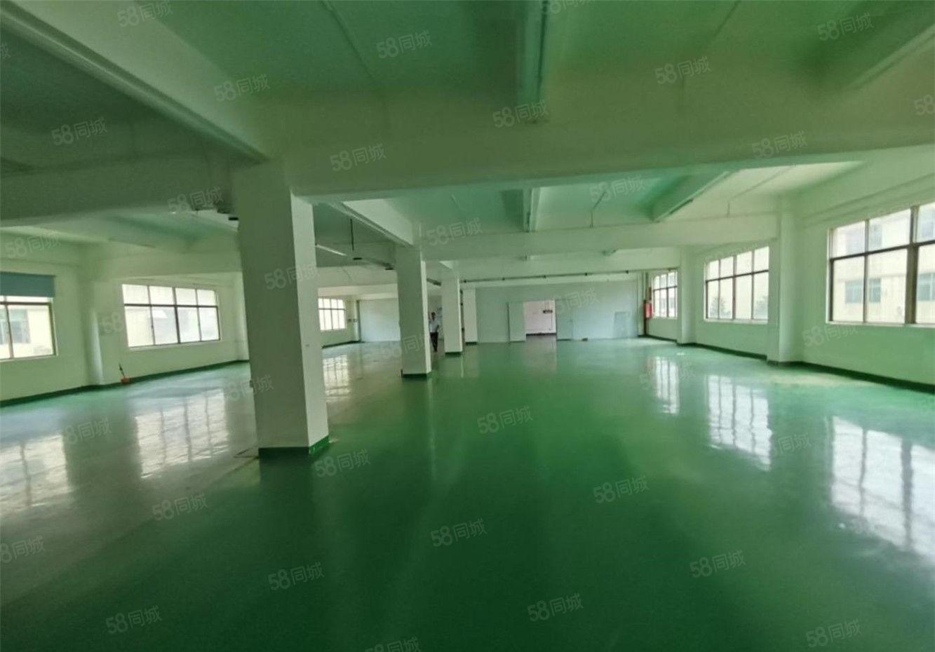 黄江标准厂房出租楼上1100平方，工业区厂房不限行业可办环评