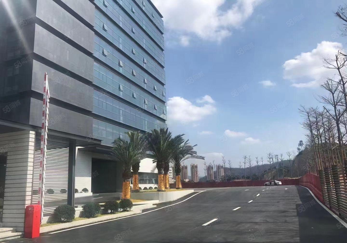 黄江镇邻深片区全新科创园区带红本厂房8万平米招租