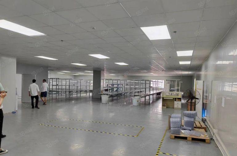 黄江田心新出独院无尘车间厂房仓库1100平，价格实惠给钱就租