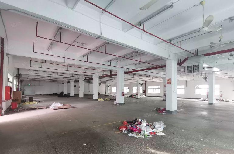 10元起租黄江星光工业区厂房出租100平分租大量独院厂房仓库