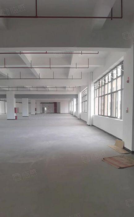 黄江田心新出原房东独栋10000平厂房仓库出租，形象好交通好