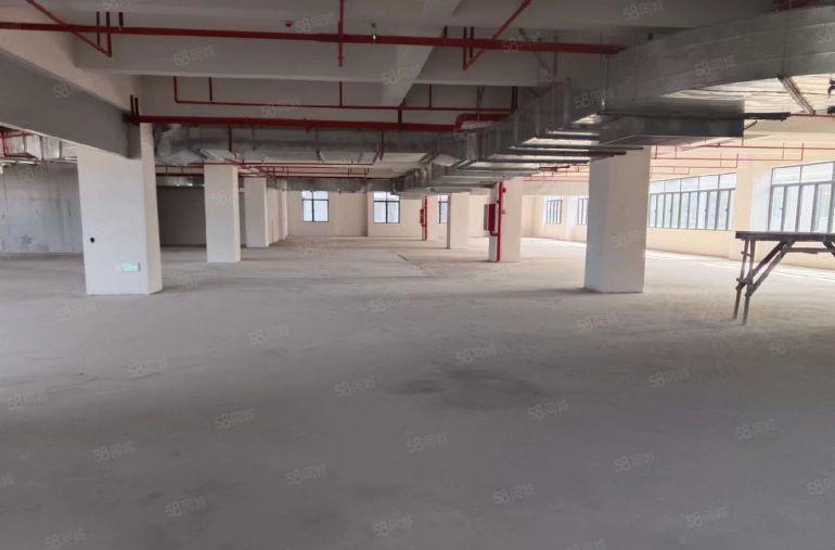 全新厂房，原房东公摊小，四面采光好，有消防有环评