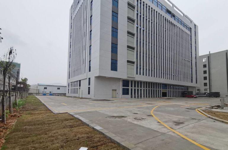 黄江星光村星峰路2号原房东全新厂房24000平出租 可分租