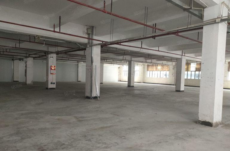 东莞横沥田美工业园，原房东独门独院6000平，租金12元