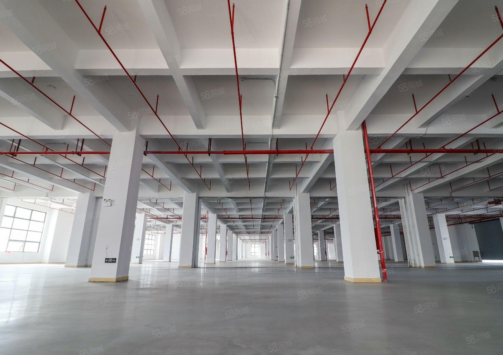 黄江田心村嘉宾路整层7750平米工业厂房业主直租，可办环评