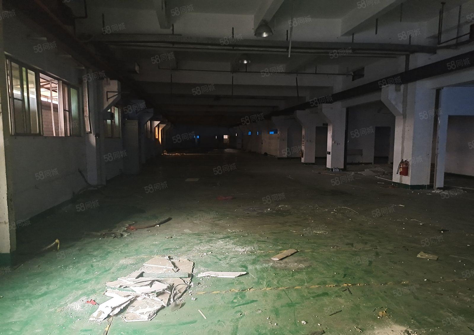 黄江镇高速附近新出花园式独院厂房29850平方