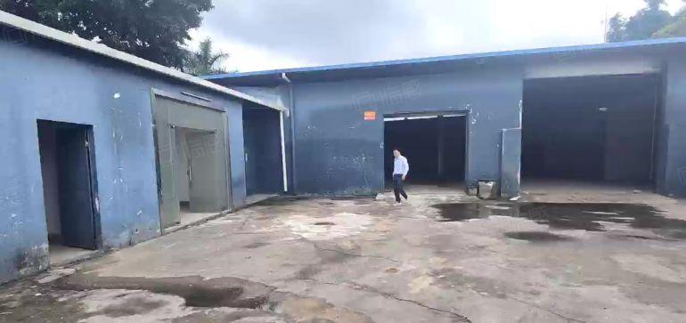 常平靠黄江原房东独院钢结构厂房带装修工业用地小面积大小可分租