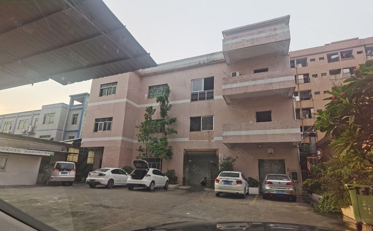 黄江镇中心独门独院3200方厂房出租 好招工