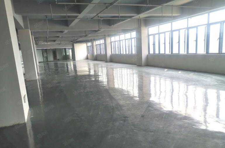 全新厂房，全新地坪漆，原房东自建厂房，自已直租，11块一平