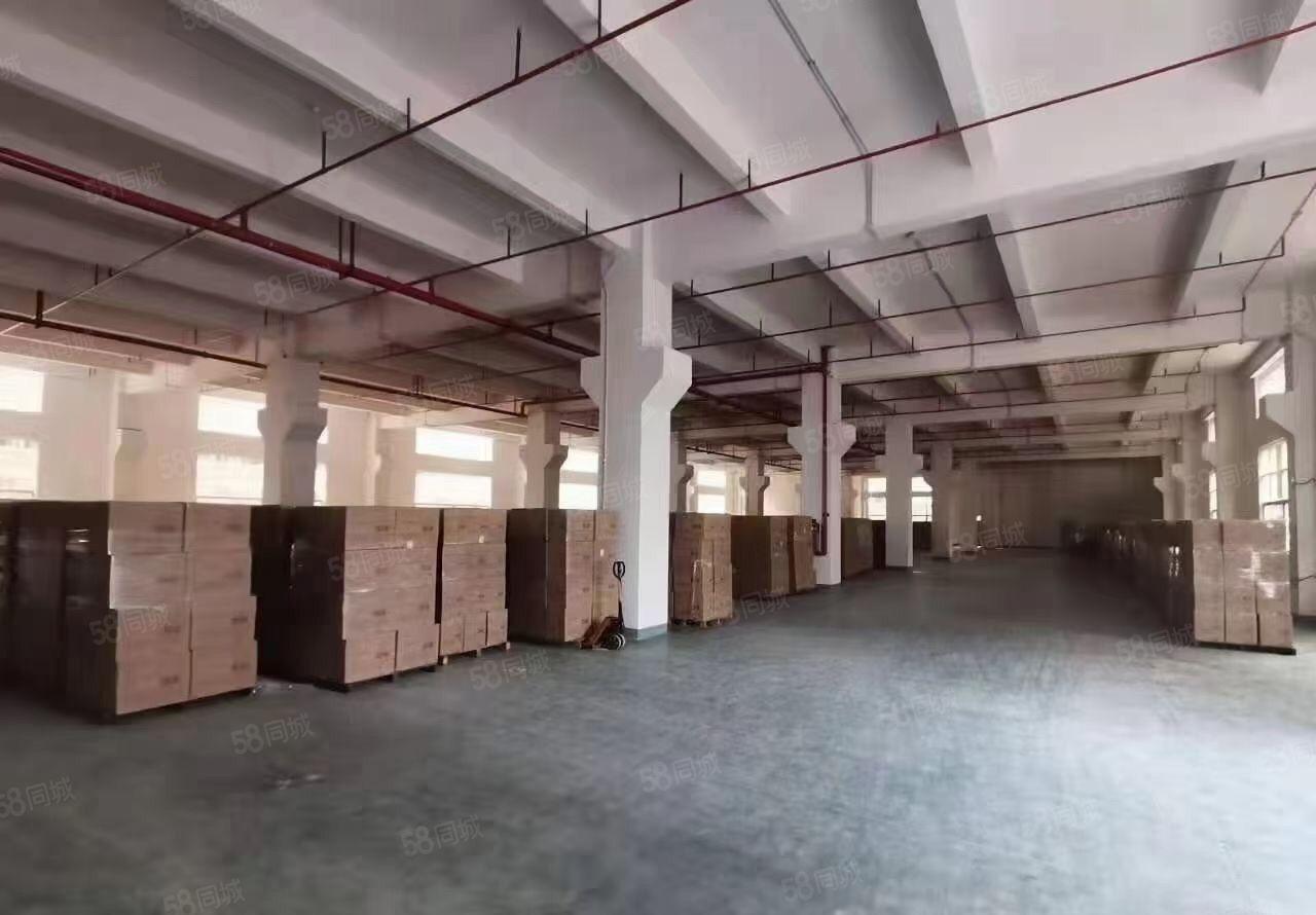 黄江板湖一楼1360平米精装修。价格实惠厂房