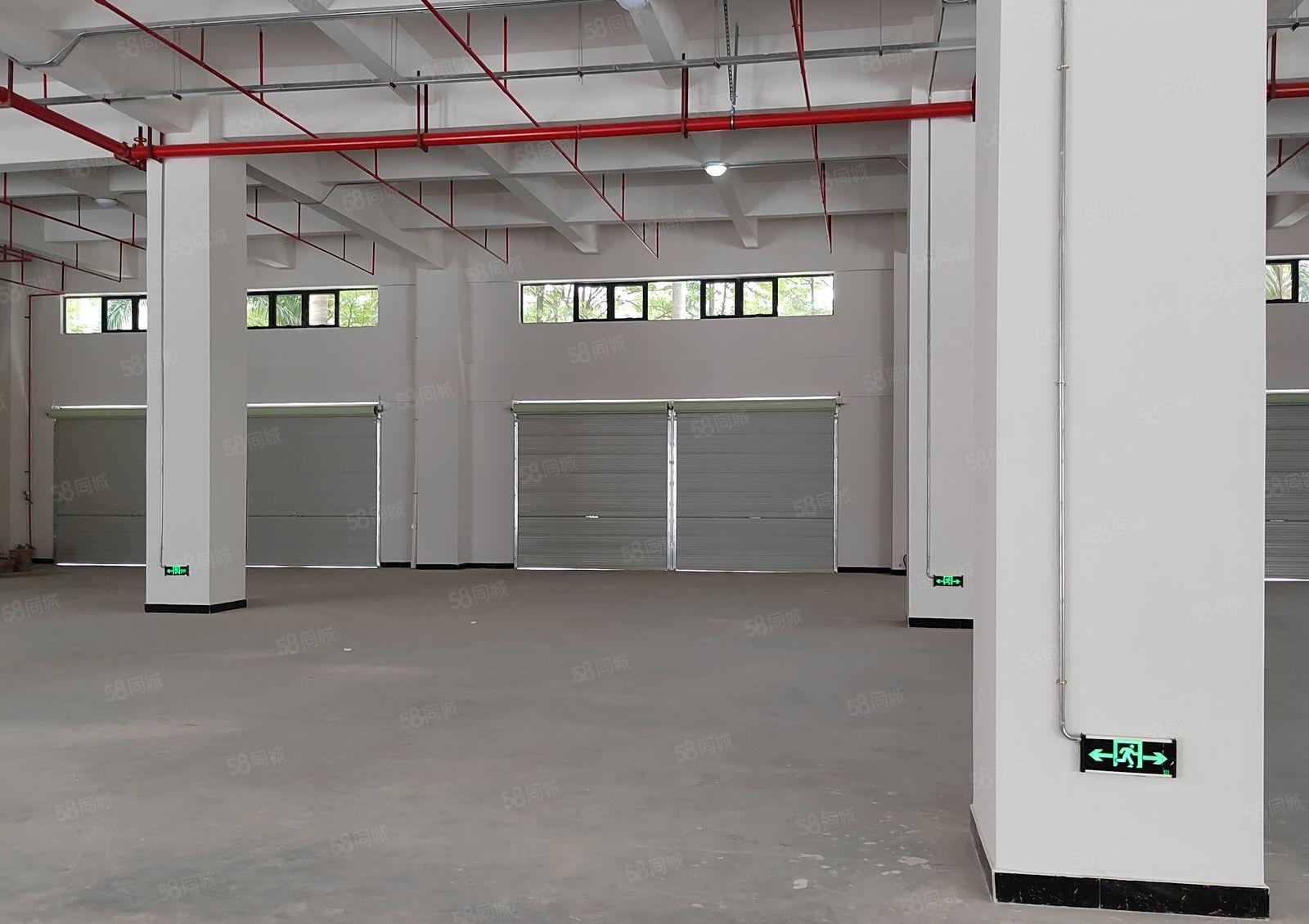 塘唇工业园新建独栋18000平全新重工业厂房现低价出租