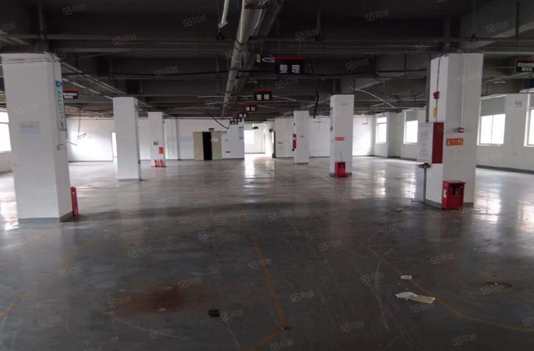 整层带装修，原房东直租，新园区形象好，空地大好停车