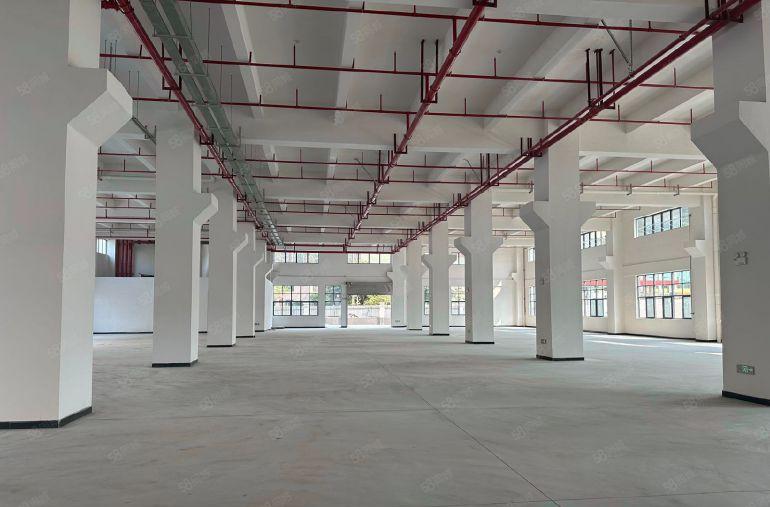 黄江原房东独门独院2万平方厂房出租，一楼带牛角，空地超大