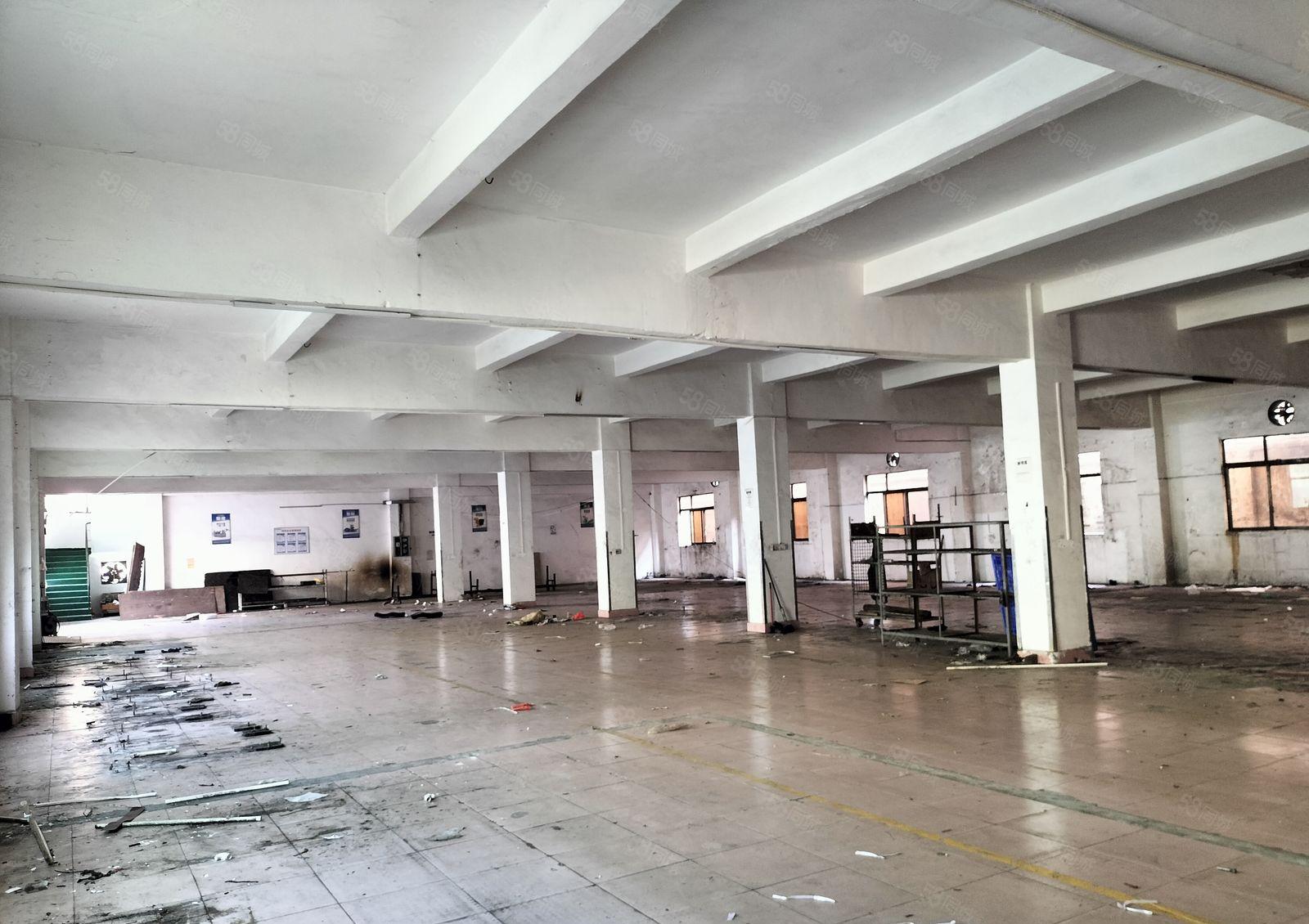 黄江玉堂围附近新出1500平超大空气厂房