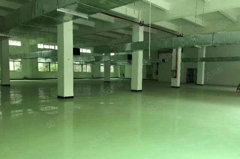 黄江镇中心新出楼上带装修厂房1500平米