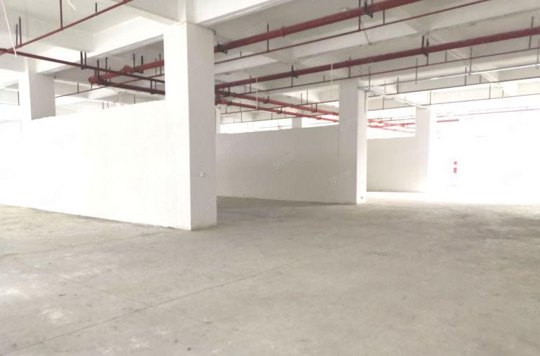 一楼，原房东自建红本厂房，大园区环境好，大量停车位