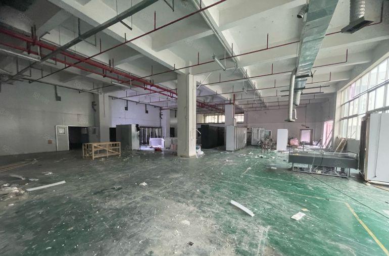 黄江镇原房东一楼1280平5.5米高低价出租23可谈