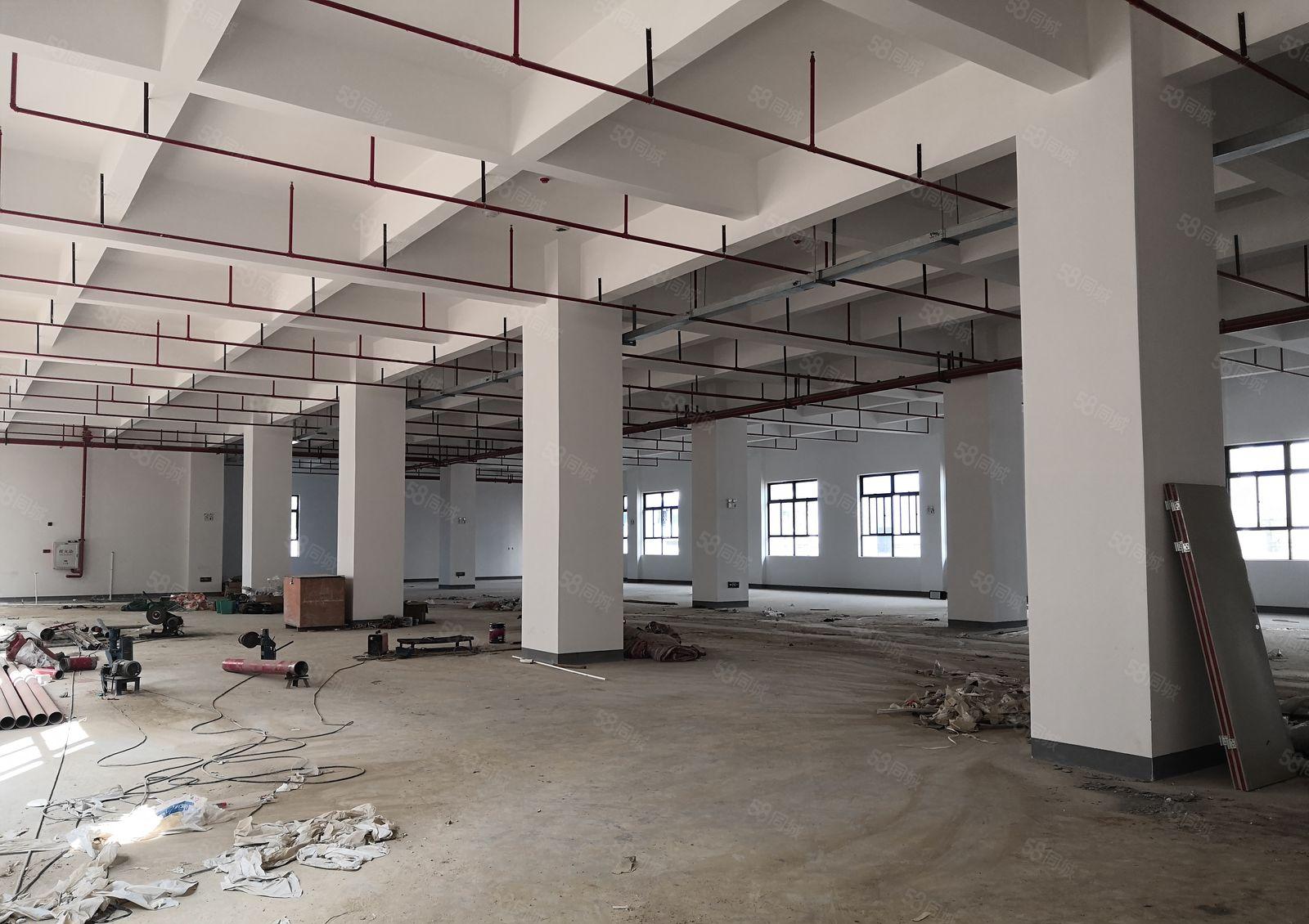 黄江新出标准一楼2500平米空地大带办公室装修