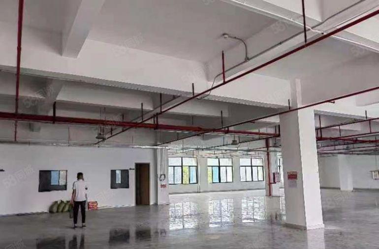 黄江全新工业园区内分租整层4000平可分租1000平起分