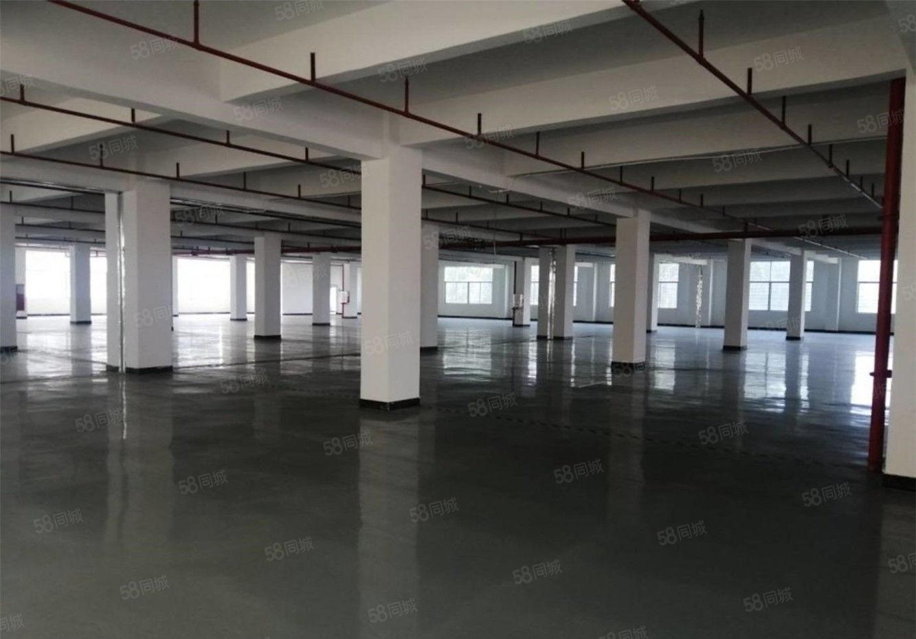 新出黄江带牛角厂房出租一楼1700平方，高7米，精装修办公室