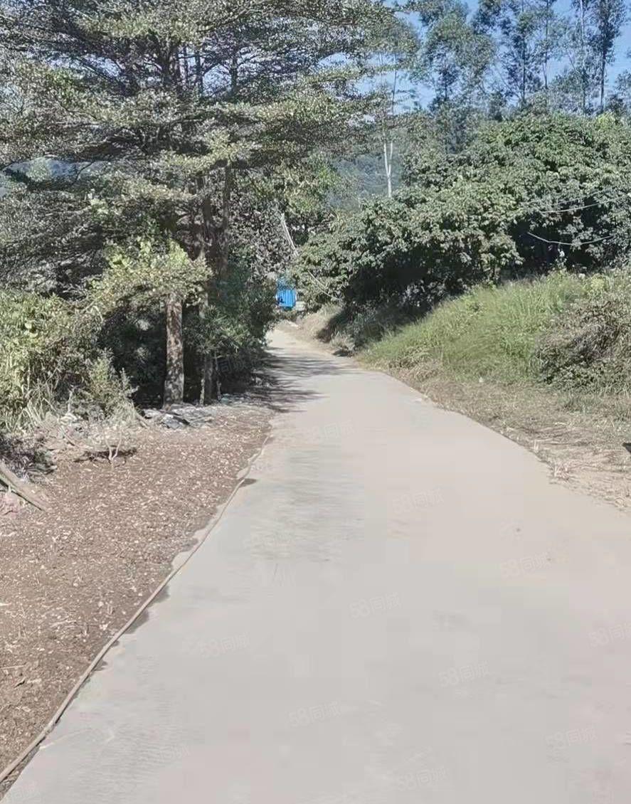 东莞黄江60多亩果园白菜价出售，远离都是喧器，回归自然本色。