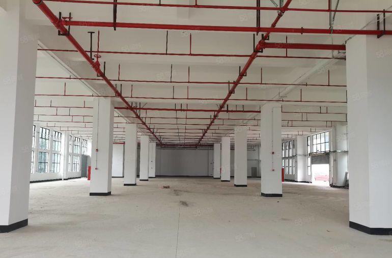 黄江星光村星峰路2号原房东全新厂房24000平出租 可分租