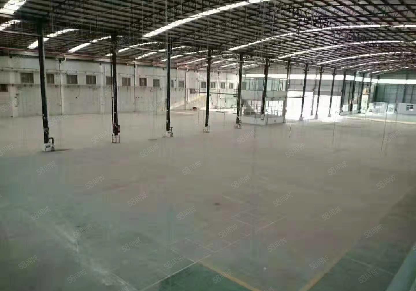 黄江镇独院钢结构厂房原房东