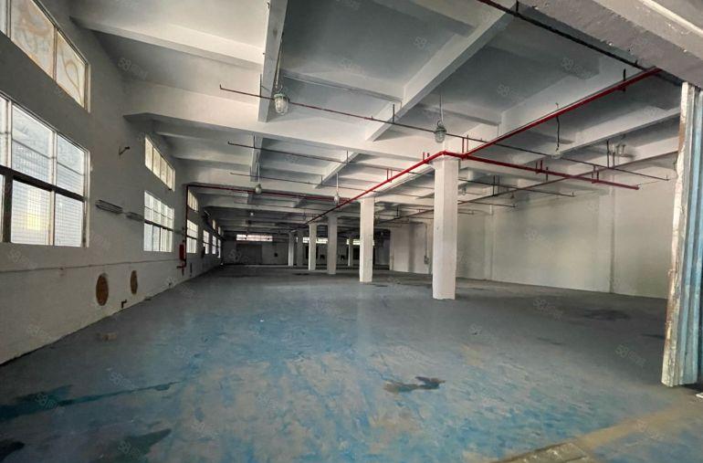 黄江镇临深星光村标准厂房1950平有喷淋5.5米高配套齐全