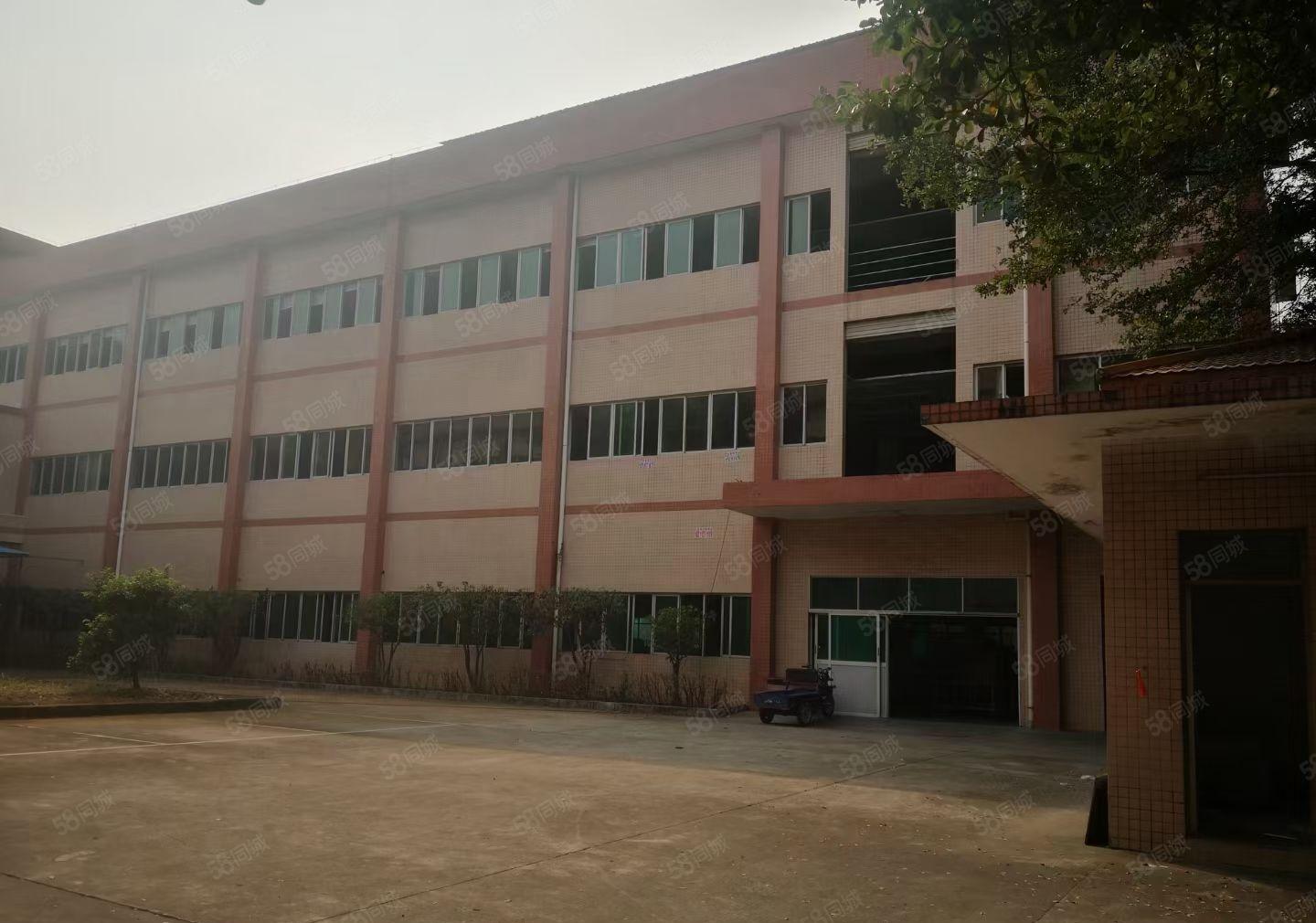 黄江镇合路工业区新出一二楼标准花园式厂房，每层1350平。