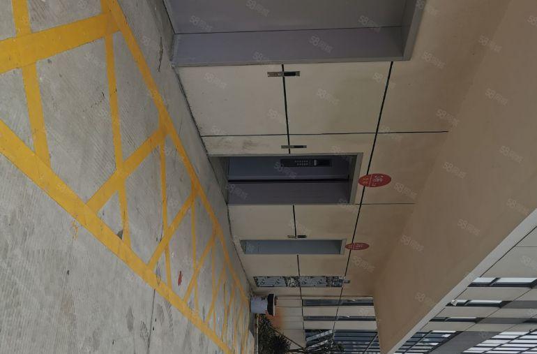 黄江临深全新科技园区招租面积5万平1000平起分享高新补贴